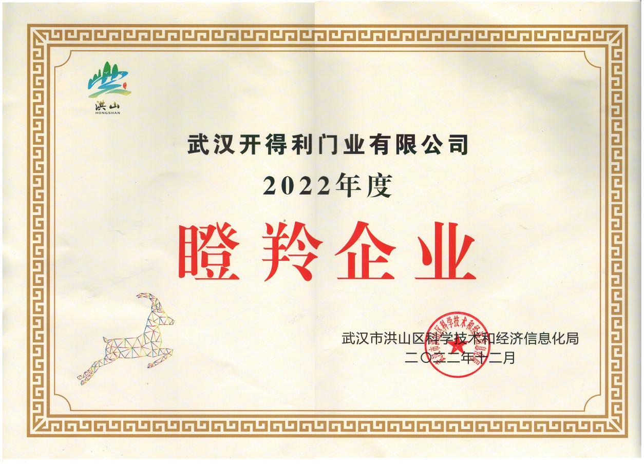 2022年度瞪羚企業